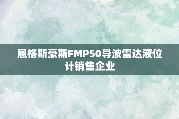 恩格斯豪斯FMP50导波雷达液位计销售企业