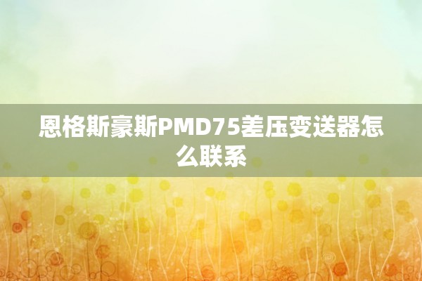 恩格斯豪斯PMD75差压变送器怎么联系