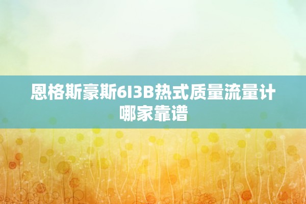 恩格斯豪斯6I3B热式质量流量计哪家靠谱