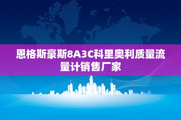 恩格斯豪斯8A3C科里奥利质量流量计销售厂家