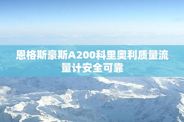 恩格斯豪斯A200科里奥利质量流量计安全可靠