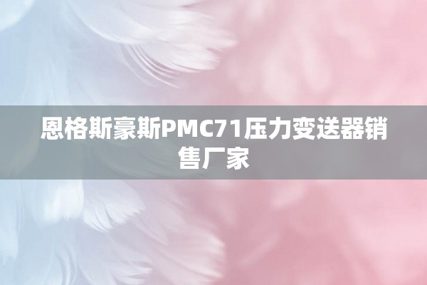 恩格斯豪斯PMC71压力变送器销售厂家