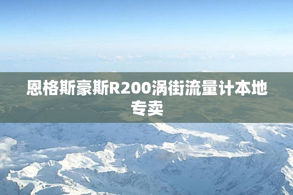 恩格斯豪斯R200涡街流量计本地专卖