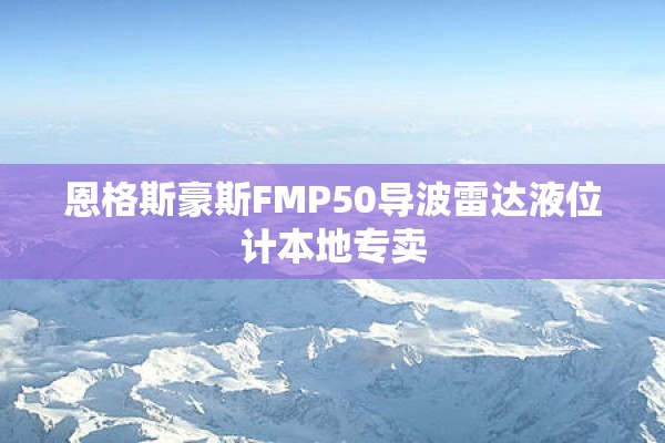 恩格斯豪斯FMP50导波雷达液位计本地专卖
