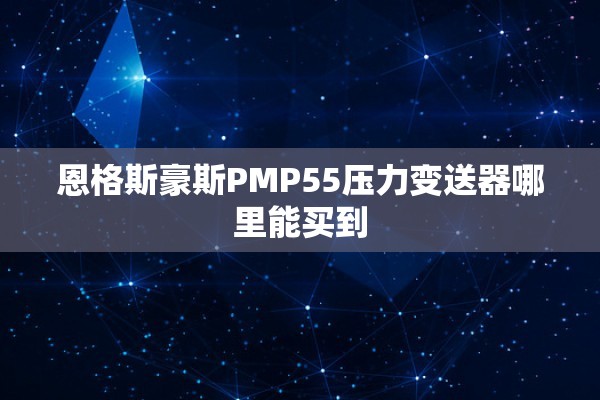 恩格斯豪斯PMP55压力变送器哪里能买到