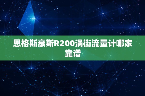 恩格斯豪斯R200涡街流量计哪家靠谱