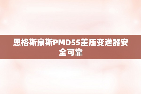 恩格斯豪斯PMD55差压变送器安全可靠