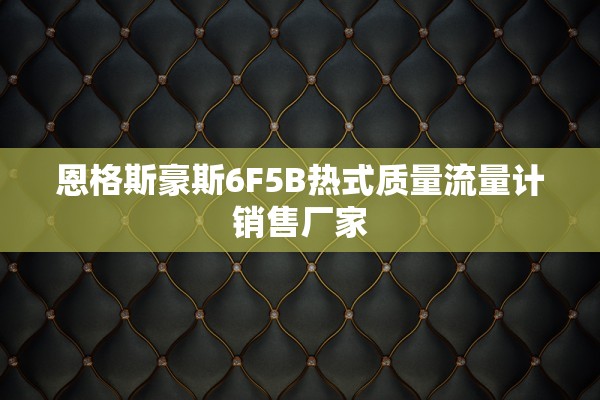 恩格斯豪斯6F5B热式质量流量计销售厂家