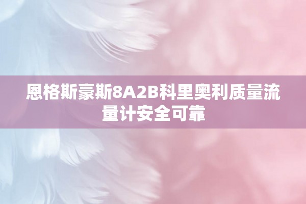 恩格斯豪斯8A2B科里奥利质量流量计安全可靠