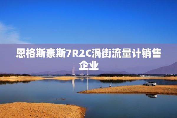 恩格斯豪斯7R2C涡街流量计销售企业
