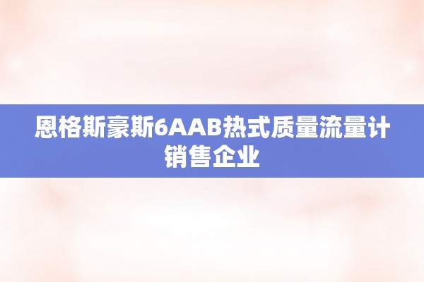 恩格斯豪斯6AAB热式质量流量计销售企业