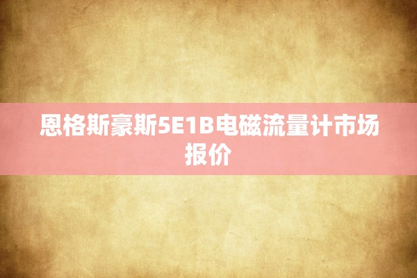 恩格斯豪斯5E1B电磁流量计市场报价