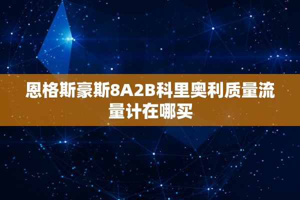 恩格斯豪斯8A2B科里奥利质量流量计在哪买