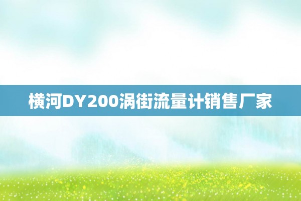 横河DY200涡街流量计销售厂家