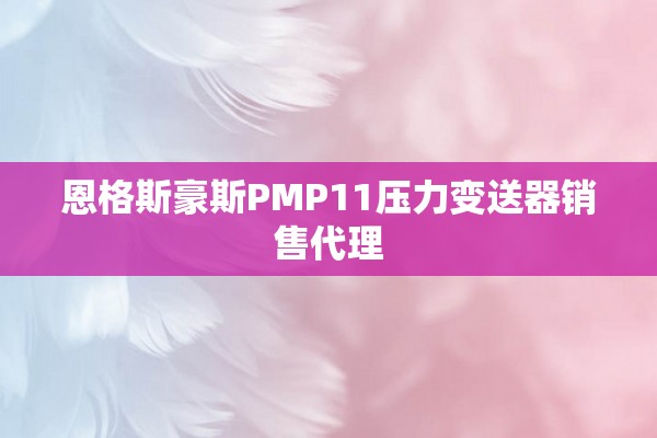 恩格斯豪斯PMP11压力变送器销售代理