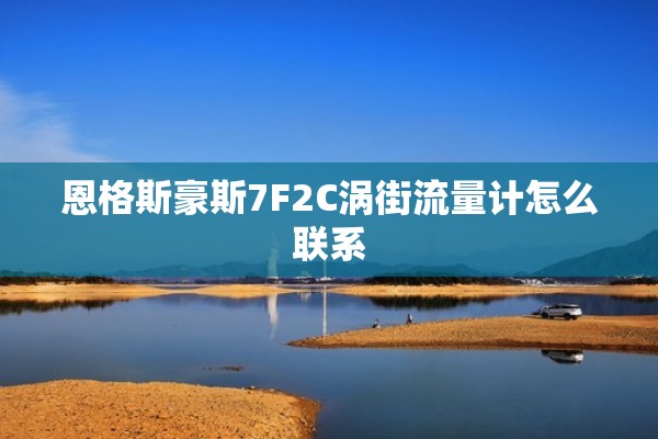 恩格斯豪斯7F2C涡街流量计怎么联系