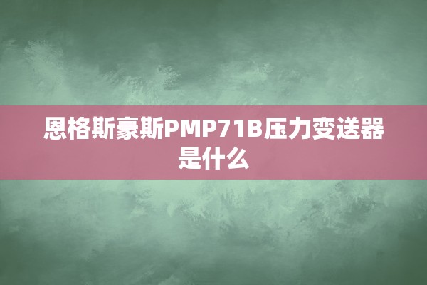 恩格斯豪斯PMP71B压力变送器是什么
