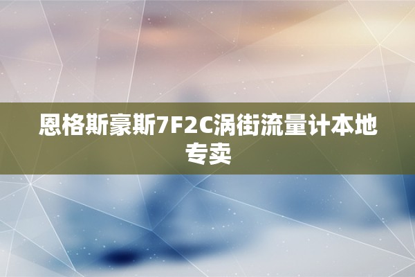 恩格斯豪斯7F2C涡街流量计本地专卖