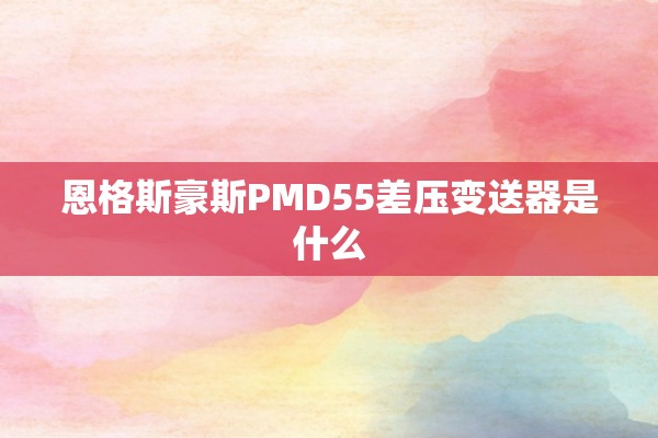 恩格斯豪斯PMD55差压变送器是什么