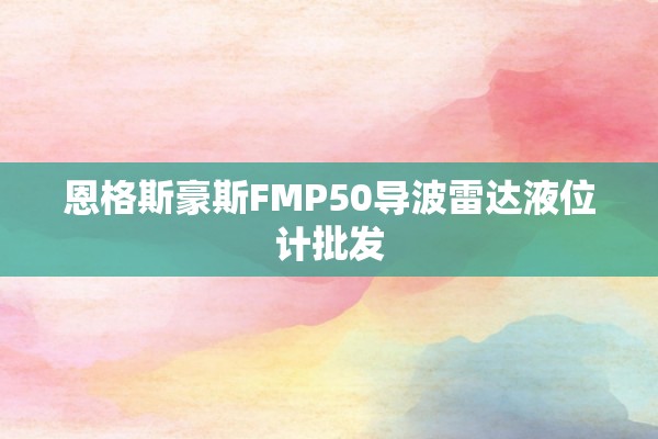恩格斯豪斯FMP50导波雷达液位计批发