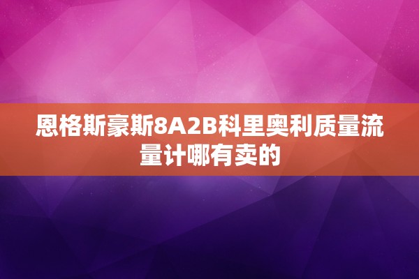恩格斯豪斯8A2B科里奥利质量流量计哪有卖的