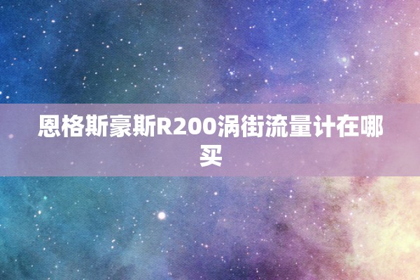 恩格斯豪斯R200涡街流量计在哪买