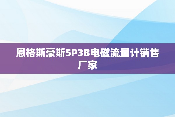 恩格斯豪斯5P3B电磁流量计销售厂家