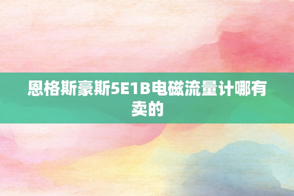 恩格斯豪斯5E1B电磁流量计哪有卖的