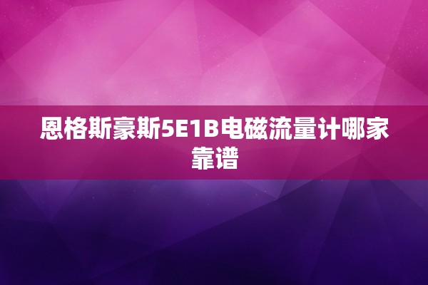 恩格斯豪斯5E1B电磁流量计哪家靠谱