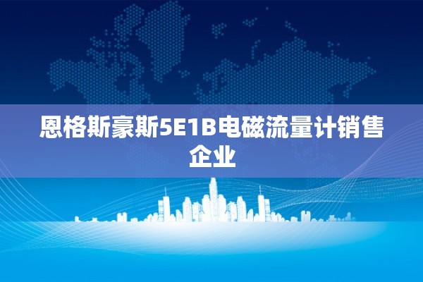 恩格斯豪斯5E1B电磁流量计销售企业