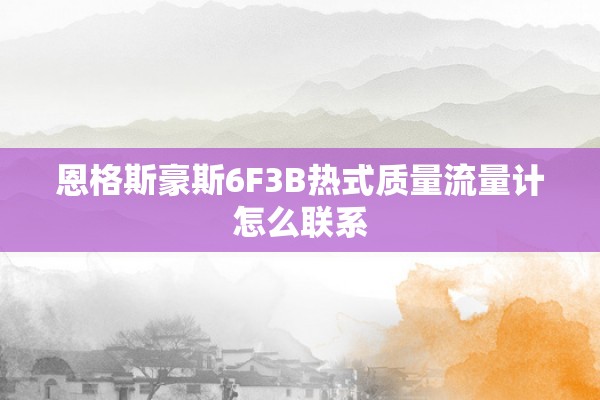 恩格斯豪斯6F3B热式质量流量计怎么联系