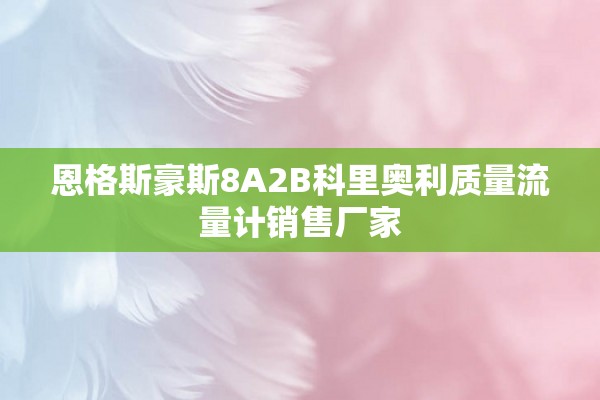 恩格斯豪斯8A2B科里奥利质量流量计销售厂家