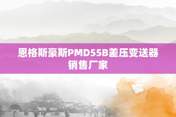 恩格斯豪斯PMD55B差压变送器销售厂家