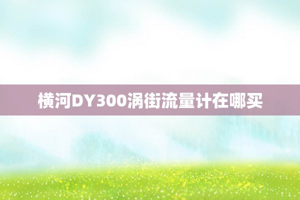 横河DY300涡街流量计在哪买