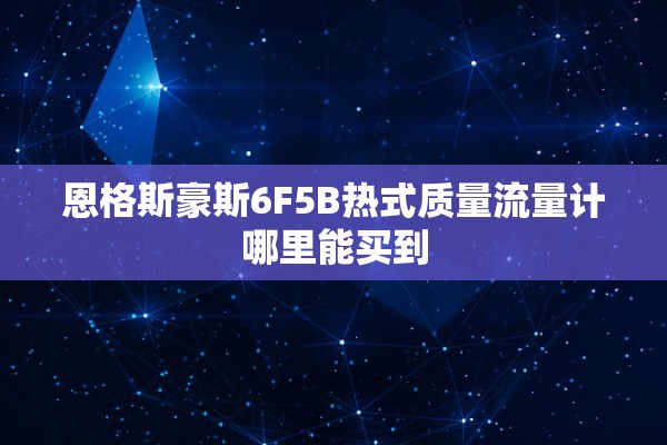 恩格斯豪斯6F5B热式质量流量计哪里能买到