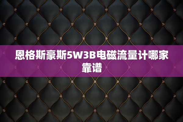 恩格斯豪斯5W3B电磁流量计哪家靠谱