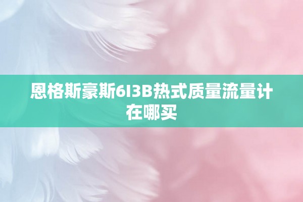 恩格斯豪斯6I3B热式质量流量计在哪买