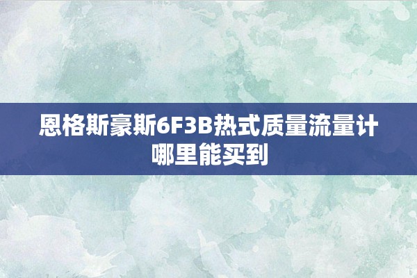 恩格斯豪斯6F3B热式质量流量计哪里能买到