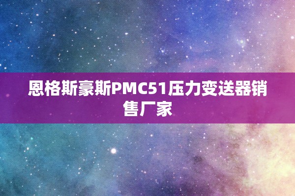 恩格斯豪斯PMC51压力变送器销售厂家