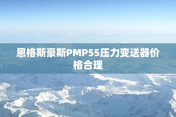 恩格斯豪斯PMP55压力变送器价格合理