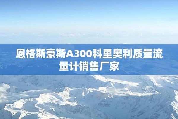 恩格斯豪斯A300科里奥利质量流量计销售厂家