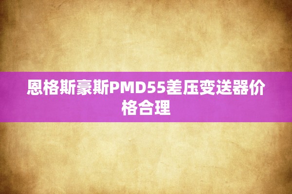 恩格斯豪斯PMD55差压变送器价格合理