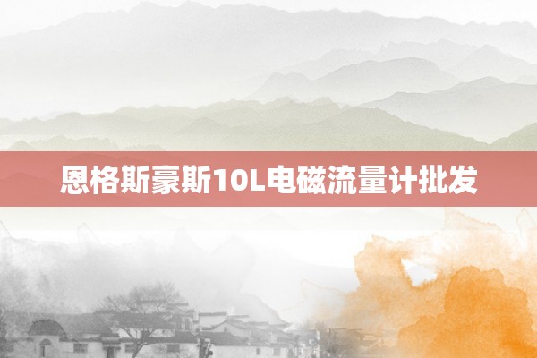 恩格斯豪斯10L电磁流量计批发