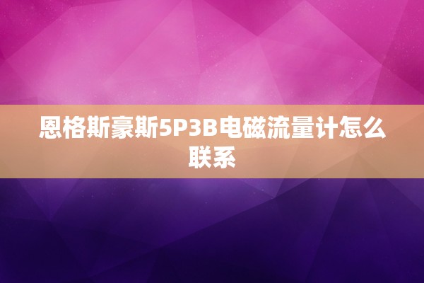 恩格斯豪斯5P3B电磁流量计怎么联系