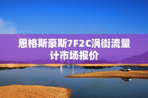 恩格斯豪斯7F2C涡街流量计市场报价