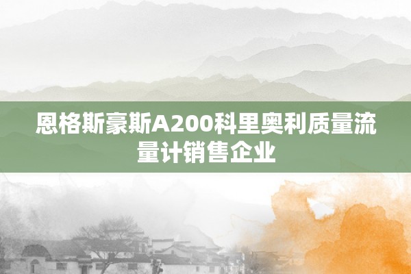 恩格斯豪斯A200科里奥利质量流量计销售企业