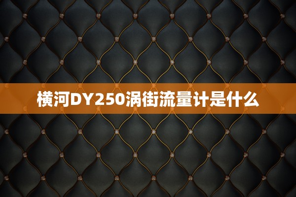 横河DY250涡街流量计是什么