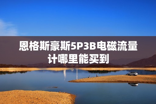 恩格斯豪斯5P3B电磁流量计哪里能买到