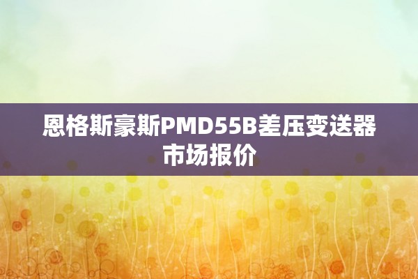 恩格斯豪斯PMD55B差压变送器市场报价