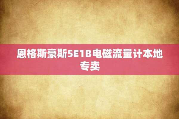 恩格斯豪斯5E1B电磁流量计本地专卖